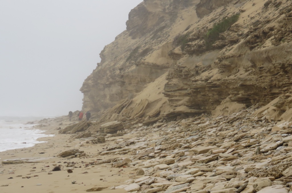 alexandria trail rocky beach